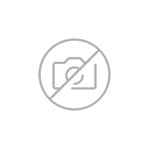Palma