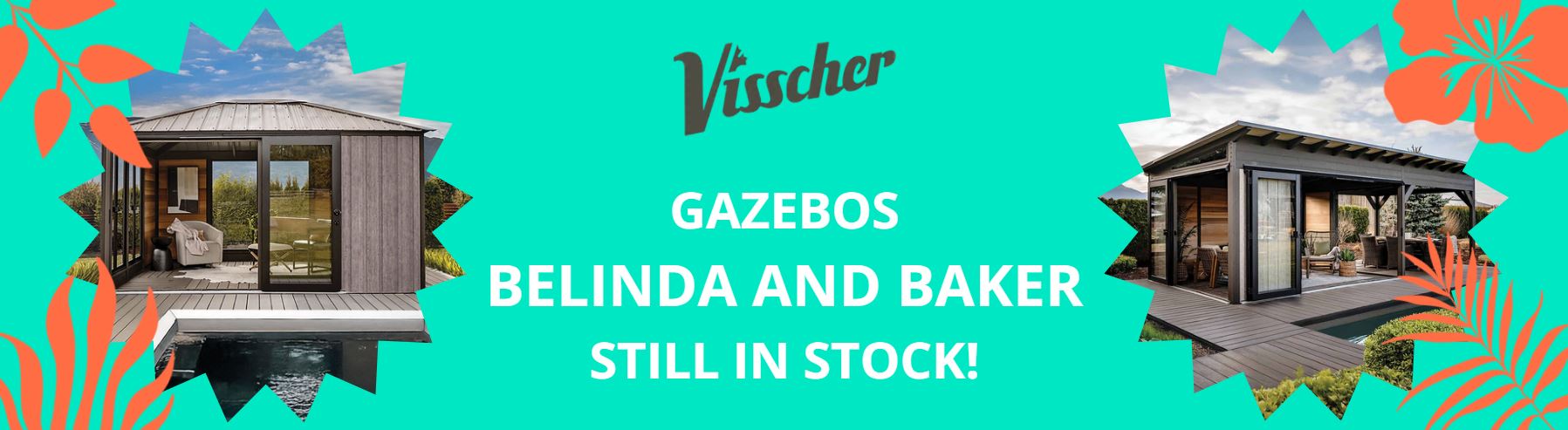 VisscherStock_ENG