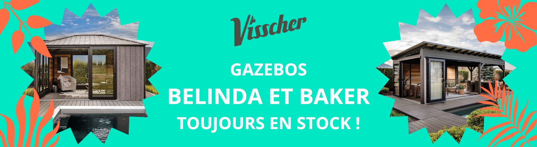 VisscherStock_FRA